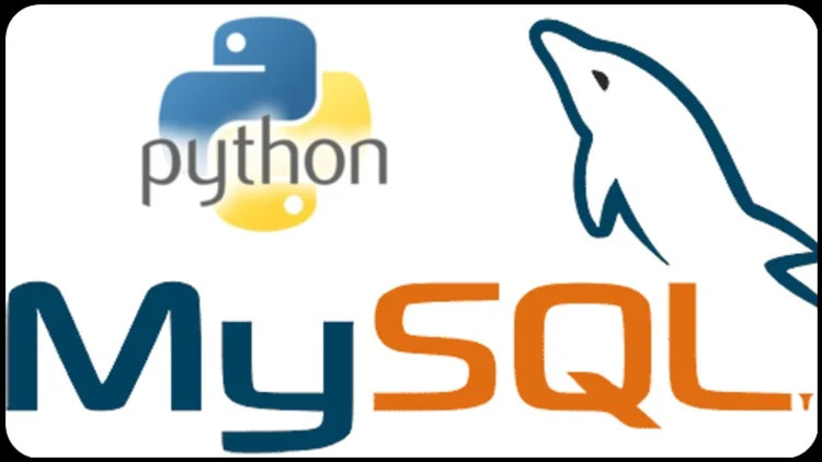 Python & MySQL Complete Course